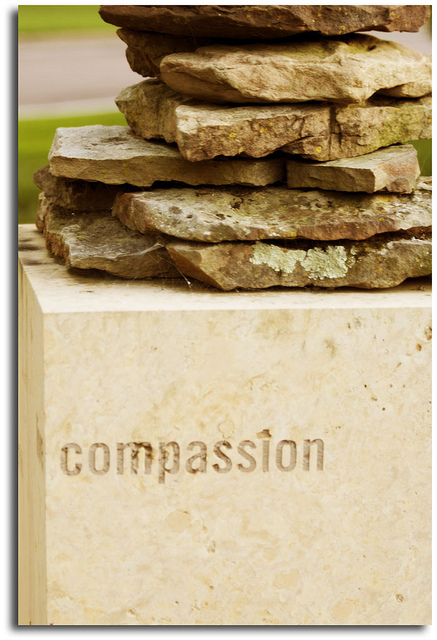 Coping and Compassion